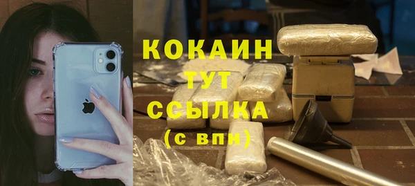 тгк Алексин
