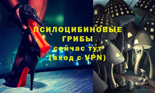 ГАЛЛЮЦИНОГЕННЫЕ ГРИБЫ Саяногорск
