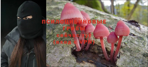 тгк Алексин