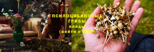 хмурый Абаза