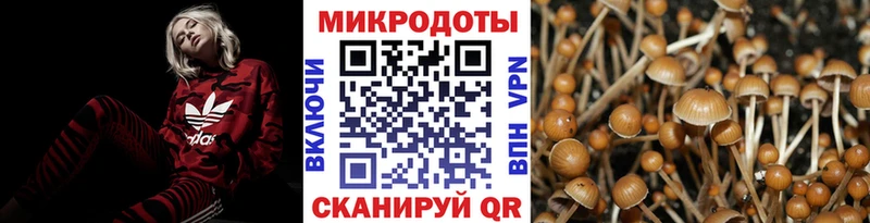 KRAKEN сайт  Камызяк  Галлюциногенные грибы MAGIC MUSHROOMS 