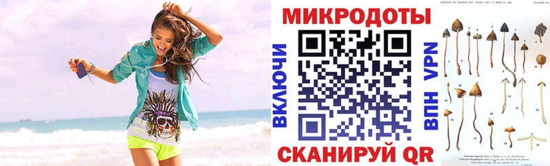 Псилоцибиновые грибы мицелий Камызяк